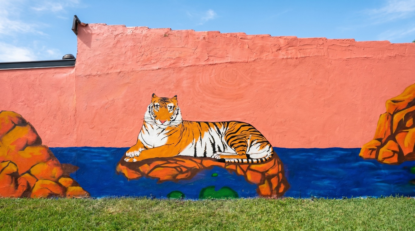 Fresque murale exterieure : tigre couche sur des rochers orange au bord d'une riviere bleue, peint sur un mur saumon